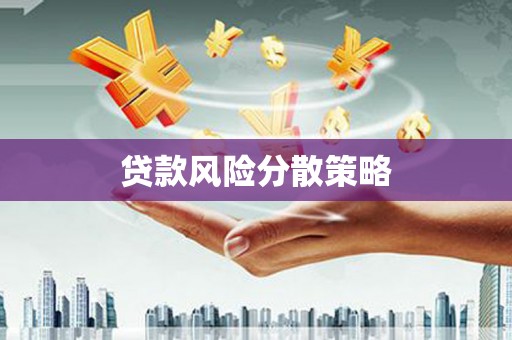 苍溪贷款风险分散策略