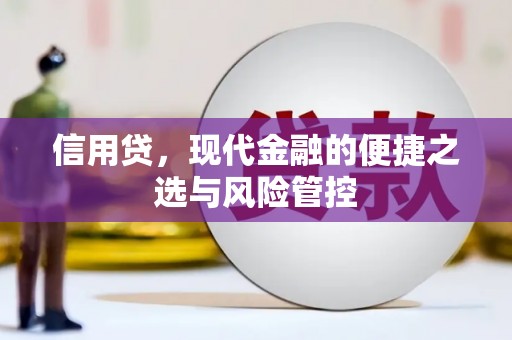 苍溪信用贷，现代金融的便捷之选与风险管控