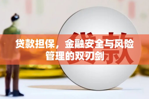 苍溪贷款担保，金融安全与风险管理的双刃剑