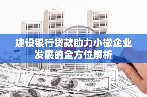 苍溪建设银行贷款助力小微企业发展的全方位解析