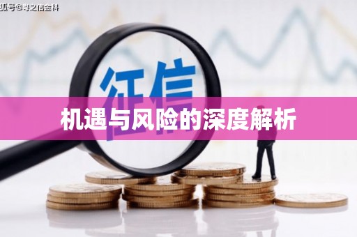 苍溪机遇与风险的深度解析