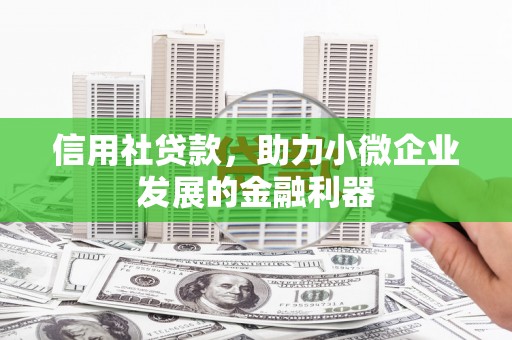 苍溪信用社贷款，助力小微企业发展的金融利器