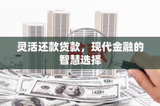 苍溪灵活还款贷款，现代金融的智慧选择