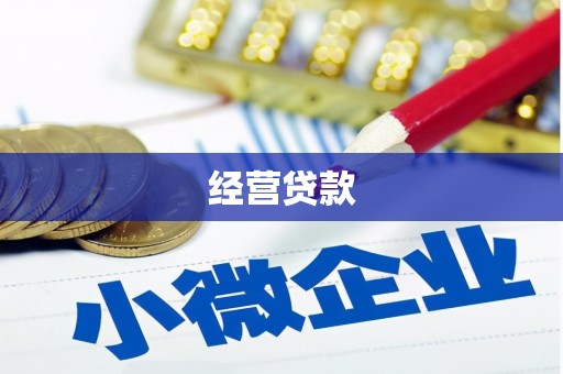 苍溪经营贷款