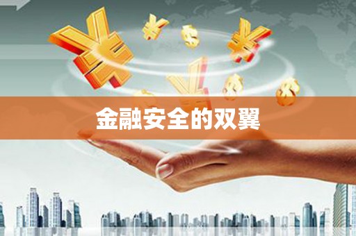 苍溪金融安全的双翼
