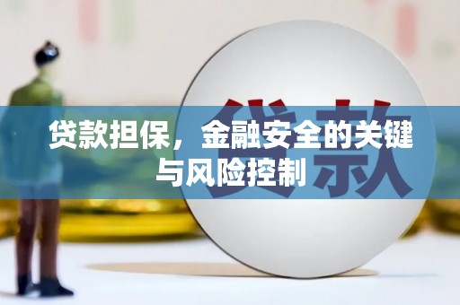 苍溪贷款担保，金融安全的关键与风险控制
