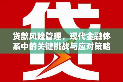 苍溪贷款风险管理，现代金融体系中的关键挑战与应对策略