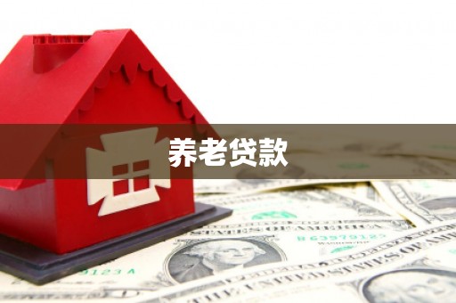 苍溪养老贷款