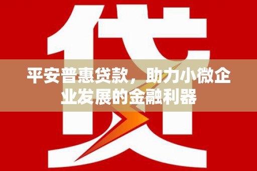 苍溪平安普惠贷款，助力小微企业发展的金融利器
