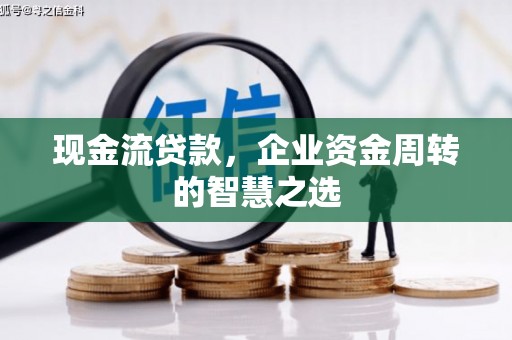 苍溪现金流贷款，企业资金周转的智慧之选