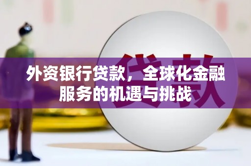 苍溪外资银行贷款，全球化金融服务的机遇与挑战