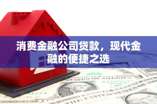 苍溪消费金融公司贷款，现代金融的便捷之选