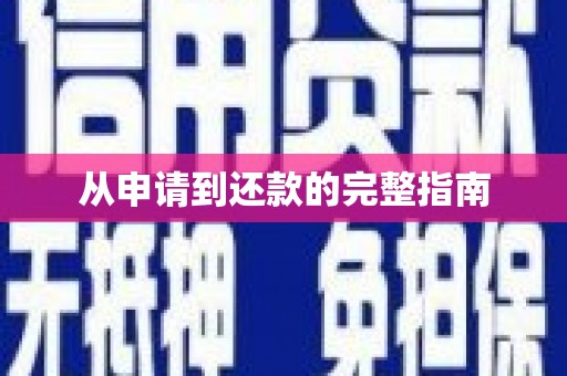 苍溪从申请到还款的完整指南