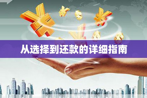 苍溪从选择到还款的详细指南