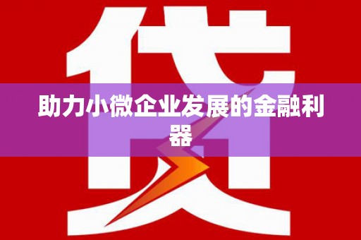 苍溪助力小微企业发展的金融利器