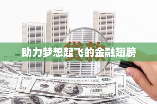 苍溪助力梦想起飞的金融翅膀