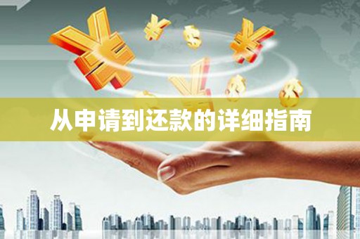 苍溪从申请到还款的详细指南