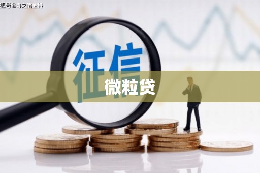 苍溪微粒贷