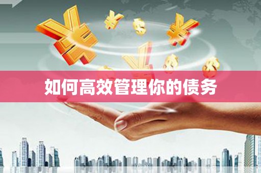 苍溪如何高效管理你的债务