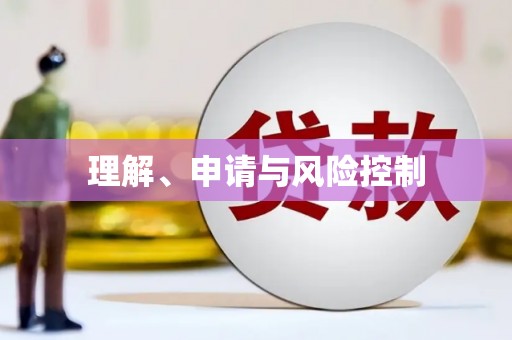 苍溪理解、申请与风险控制