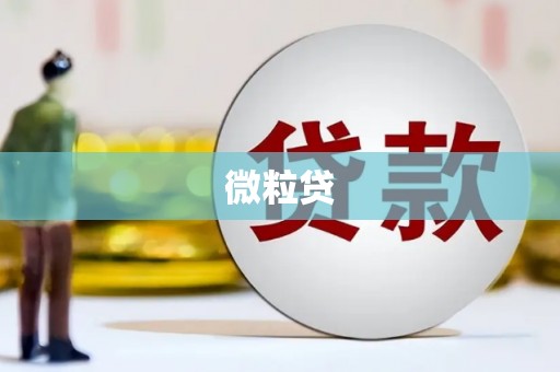 苍溪微粒贷