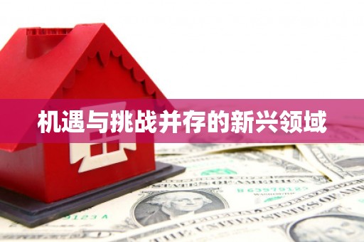 苍溪机遇与挑战并存的新兴领域