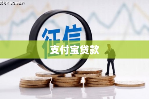苍溪支付宝贷款