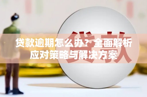 苍溪贷款逾期怎么办？全面解析应对策略与解决方案