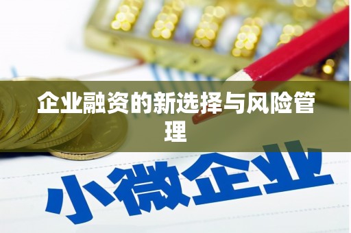 苍溪企业融资的新选择与风险管理