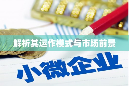 苍溪解析其运作模式与市场前景