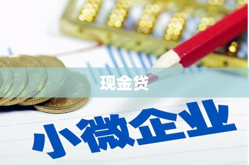 苍溪现金贷