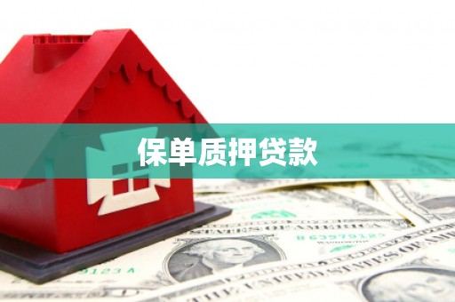苍溪保单质押贷款