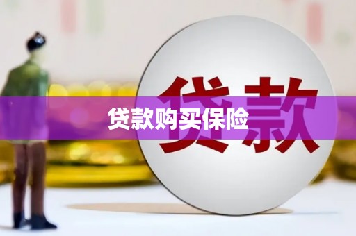 苍溪贷款购买保险