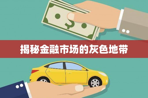 苍溪揭秘金融市场的灰色地带