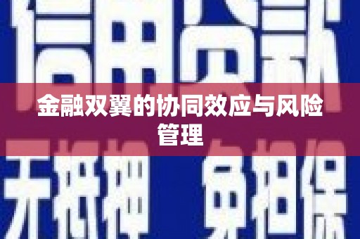苍溪金融双翼的协同效应与风险管理