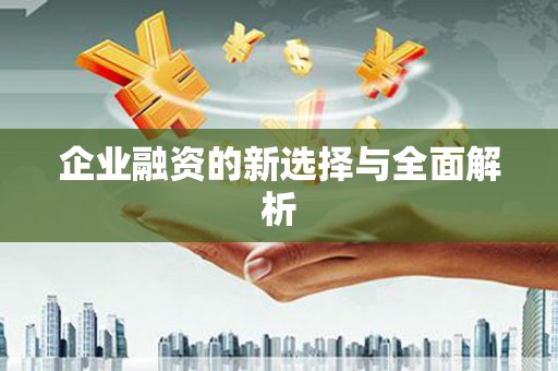苍溪企业融资的新选择与全面解析