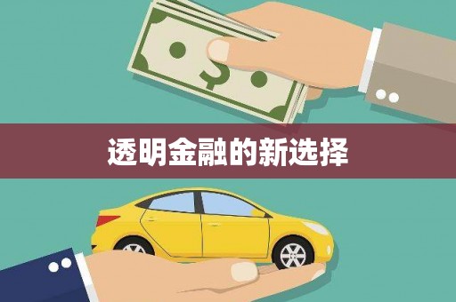 苍溪透明金融的新选择