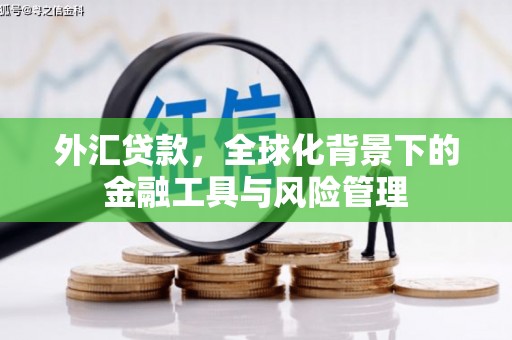 苍溪外汇贷款，全球化背景下的金融工具与风险管理