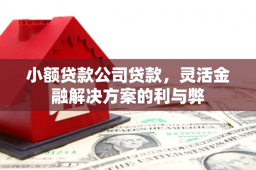 苍溪小额贷款公司贷款，灵活金融解决方案的利与弊